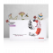 Bernina V9 Version Creator